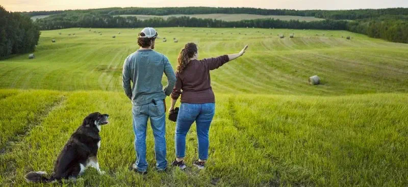 Info de gestion fiscal