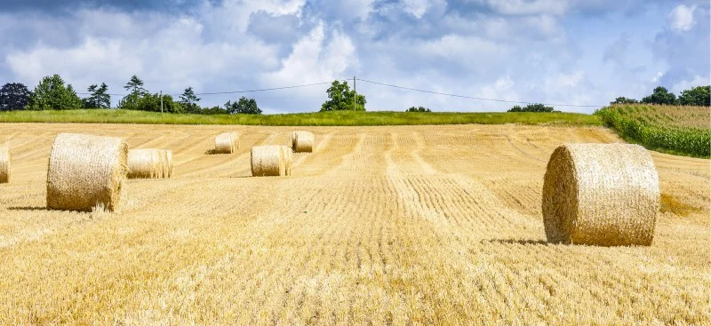 Info de gestion patrimoine